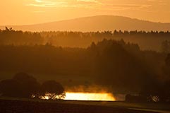 Oberpflzer Wald - Zum Vergroessern klicken!